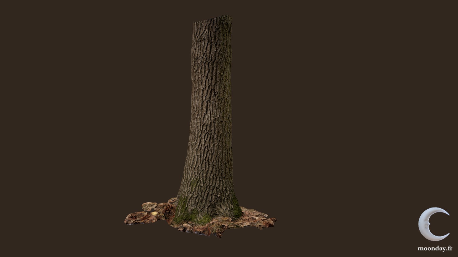 3D Scanned Tree trunk 02