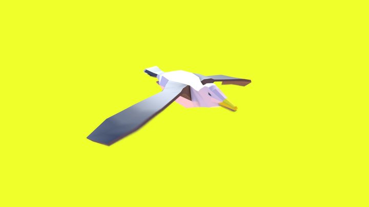 Low-Poly Seagull Animated – Free 3D Model STL