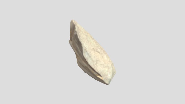 Cl-957 3D Model