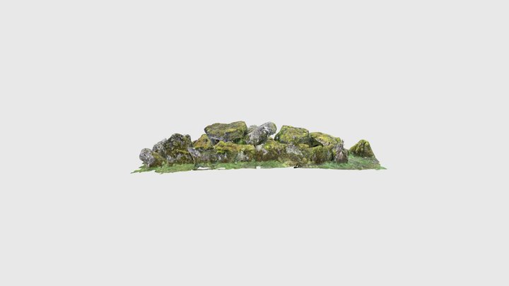 ‘Giant’s Grave’ Wedge Tomb 3D Model