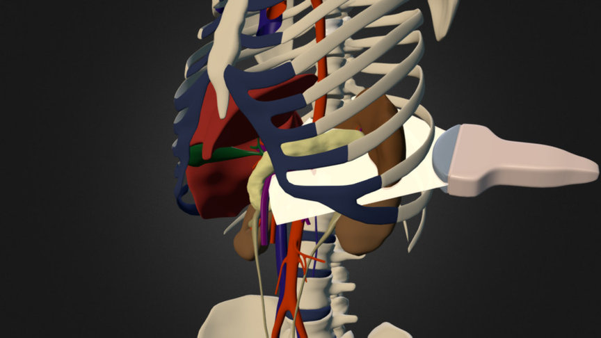 Test Sketchfab — Sketchfab embed 3D viewer