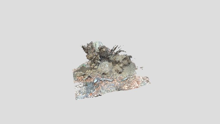 Wood1 3D Model