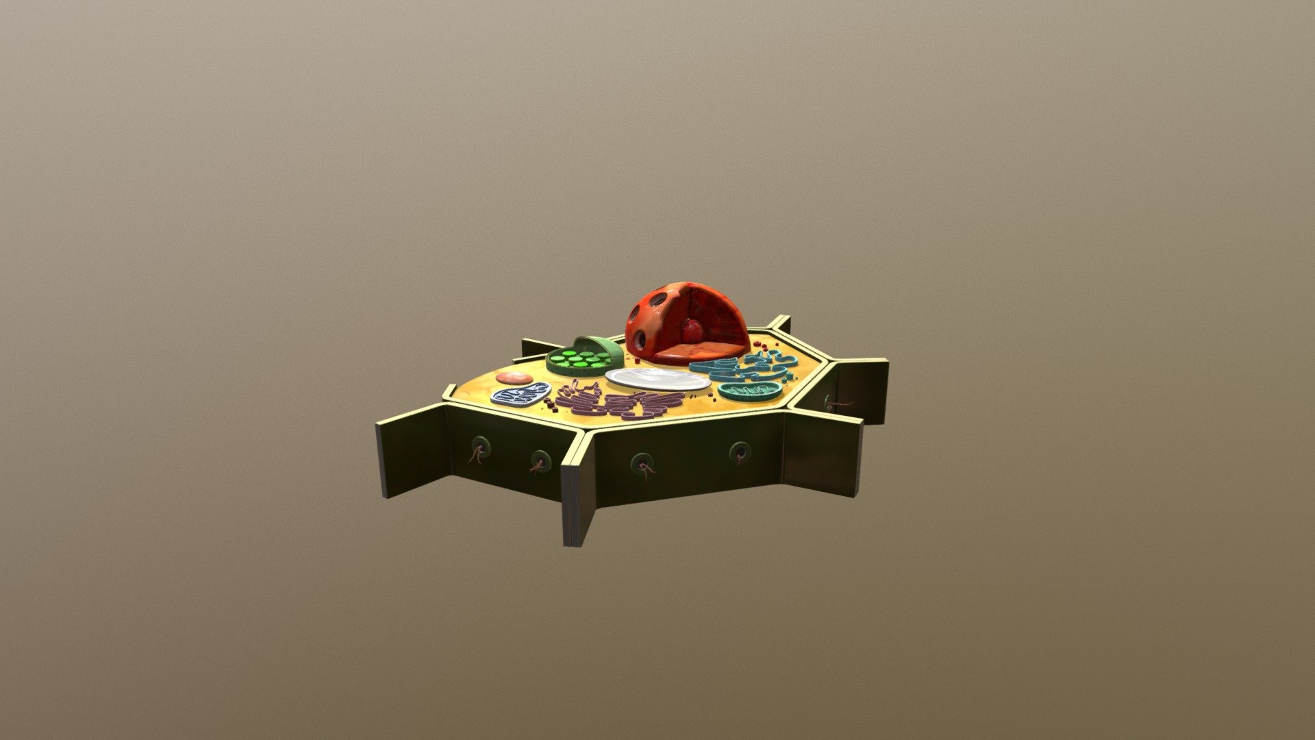 Plant Cell — Sketchfab embed 3D viewer