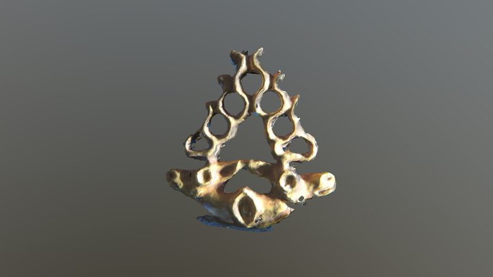 Gold Maral 3D Model