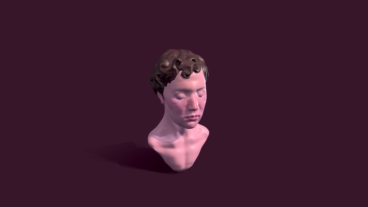 First-Bust-Merged 3D Model