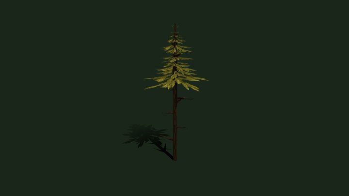 Tall Coniferous (Dry Variant) (Low Poly) 3D Model