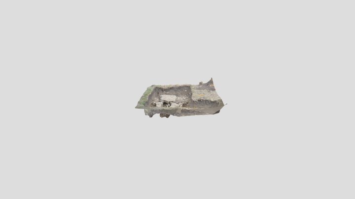 HA25 - Hollies - end of culvert 3D Model