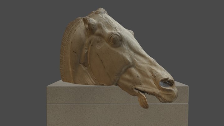 Horse Head British Museum 3D Model