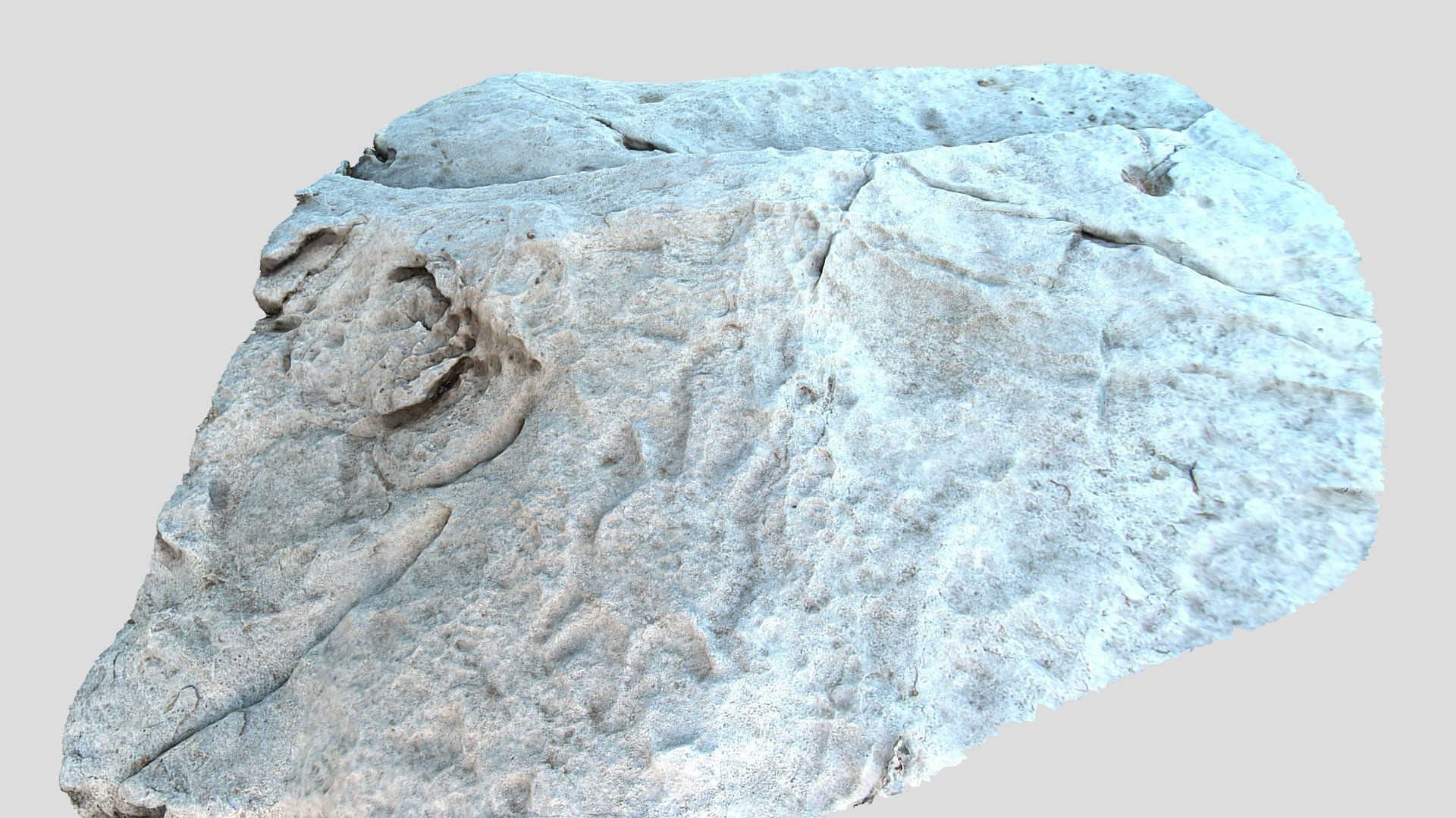 Alibates Petroglyph - Turtle