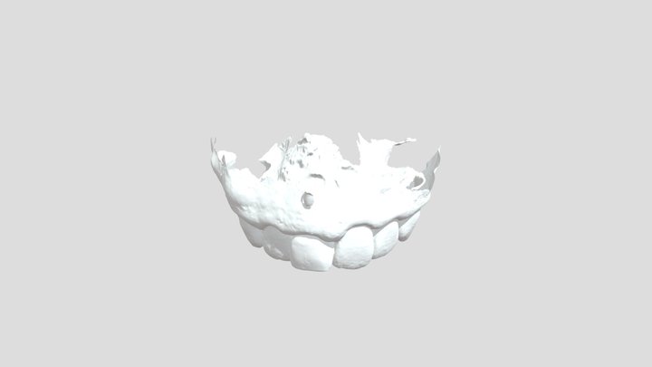 baslangic 3D Model