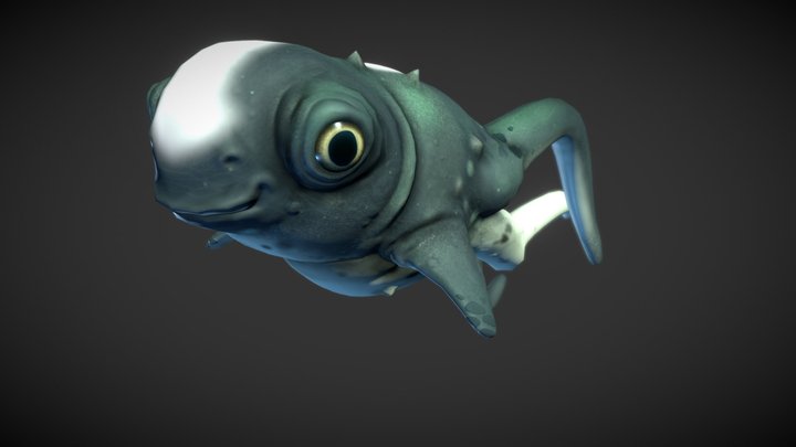 Cuddlefish 3D Model