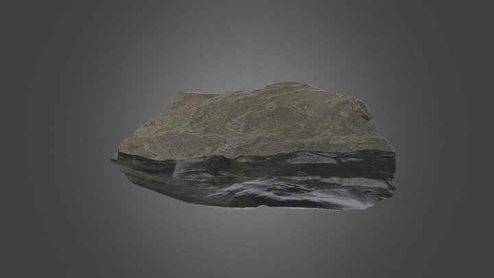 Cannel Coal 3D Model