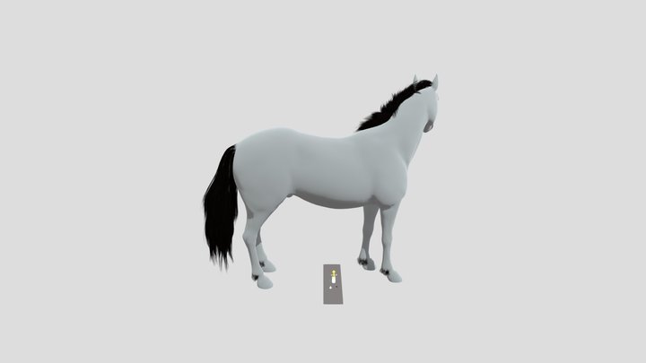 Небольшая локация с предметам и ОГРОМНАЯ лошадь. 3D Model