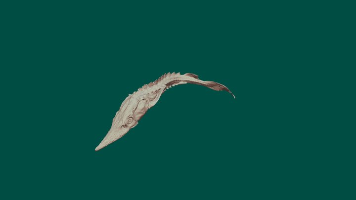 Lake Sturgeon 3D Model