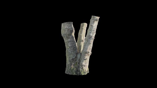 49°09'40.9"N 123°08'36.5"W 3D Model