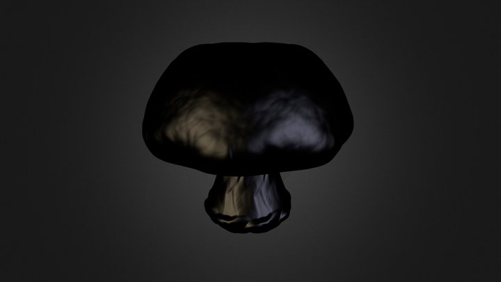 P M3 D Hongo Para Zbrr 3D Model