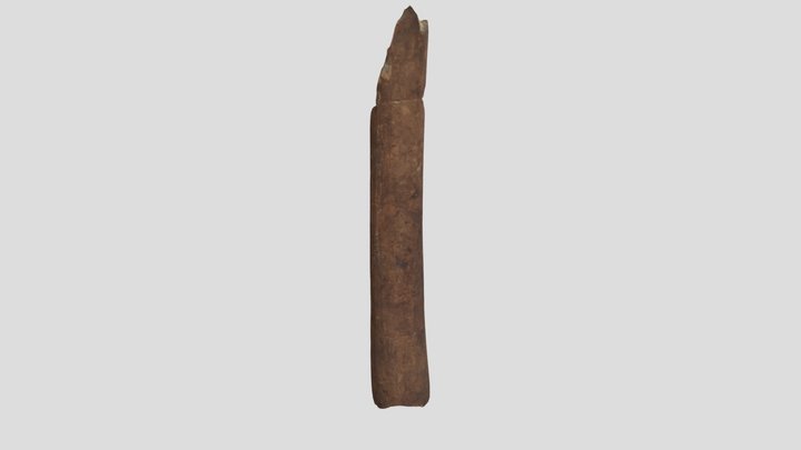 Flauta2 3D Model