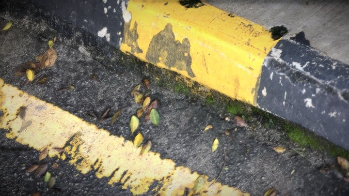 side road 3D Model
