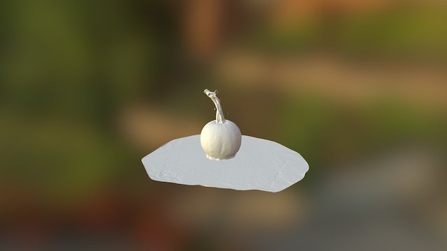 Pumpkin 3D Model
