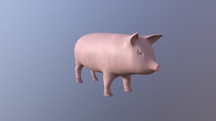 Pig 3D Model