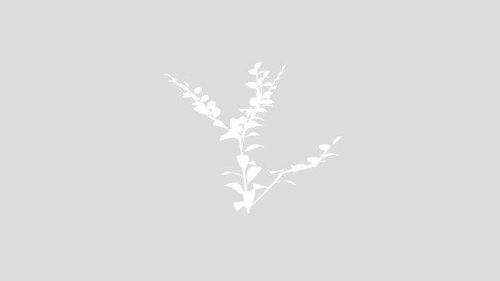 Outdoor Shrub – Free 3D Model STL