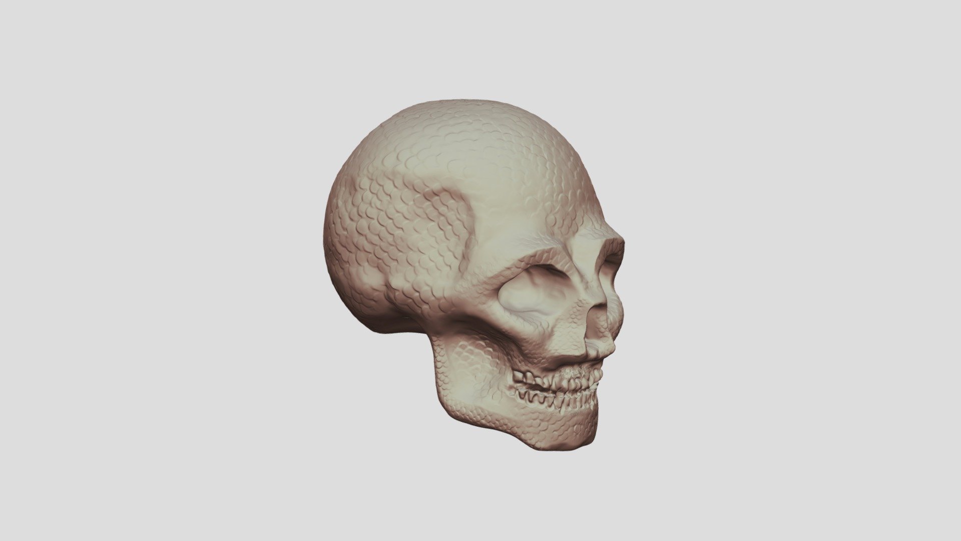 Fish-skeleton 3D models - Sketchfab