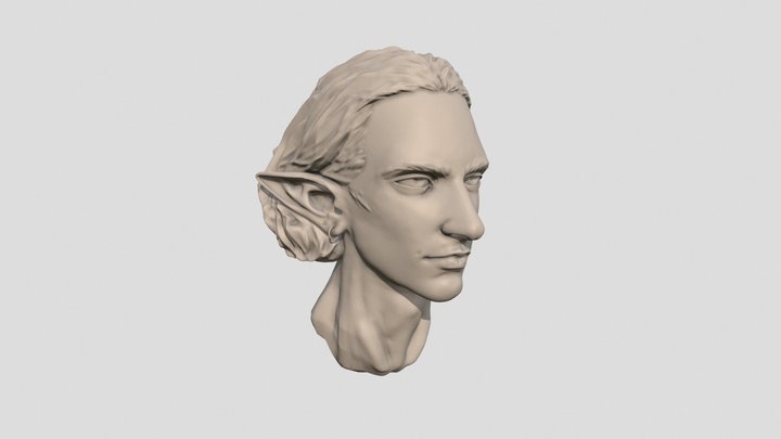 Amon. Test. 3D Model