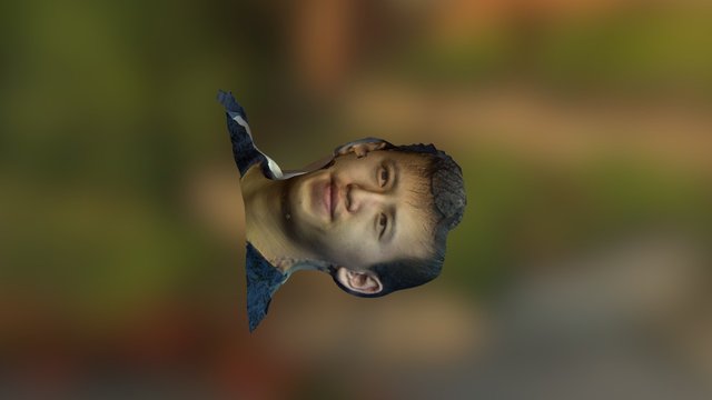 Male Face 3D Model