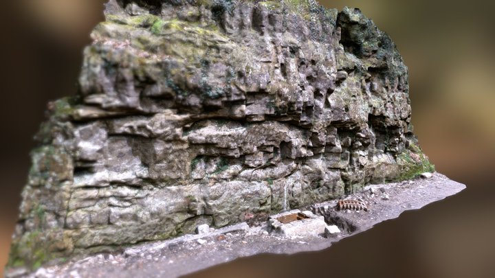 Sandstone cliff woods Bonnevoie 3D Model