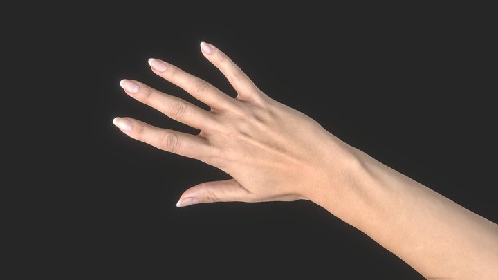 灰堆之手 3D Model