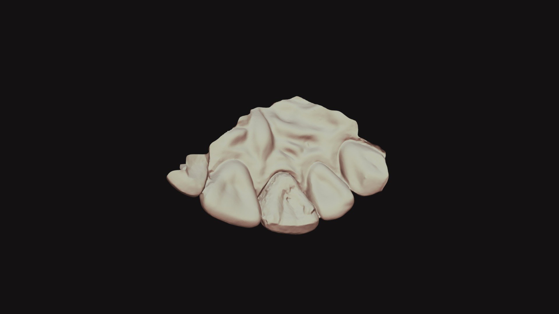 8, Group 4, Alyssa S_UpperJaw