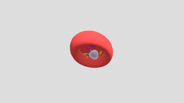 Кровяная Клетка 3D Model