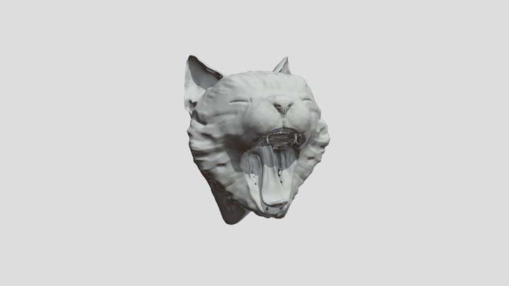 Yawning Cat 3D Model
