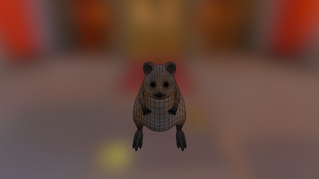 Quokka