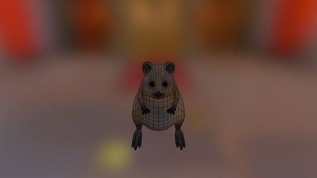 Quokka 3D Model