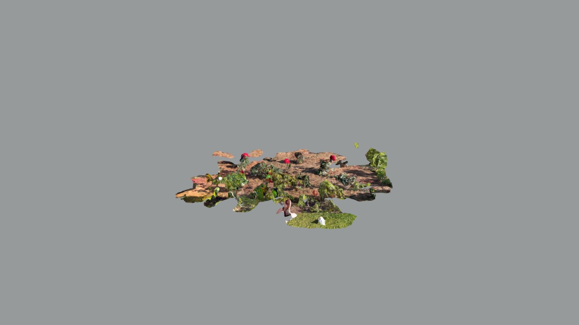 Roses