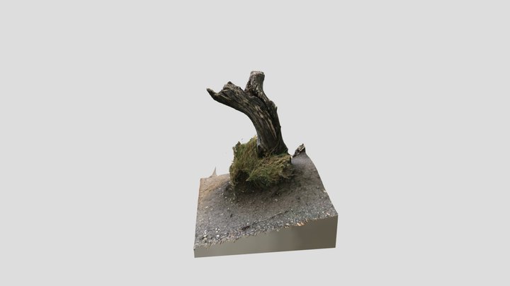 Scan 2023-02-19T00:11:03.703Z 3D Model