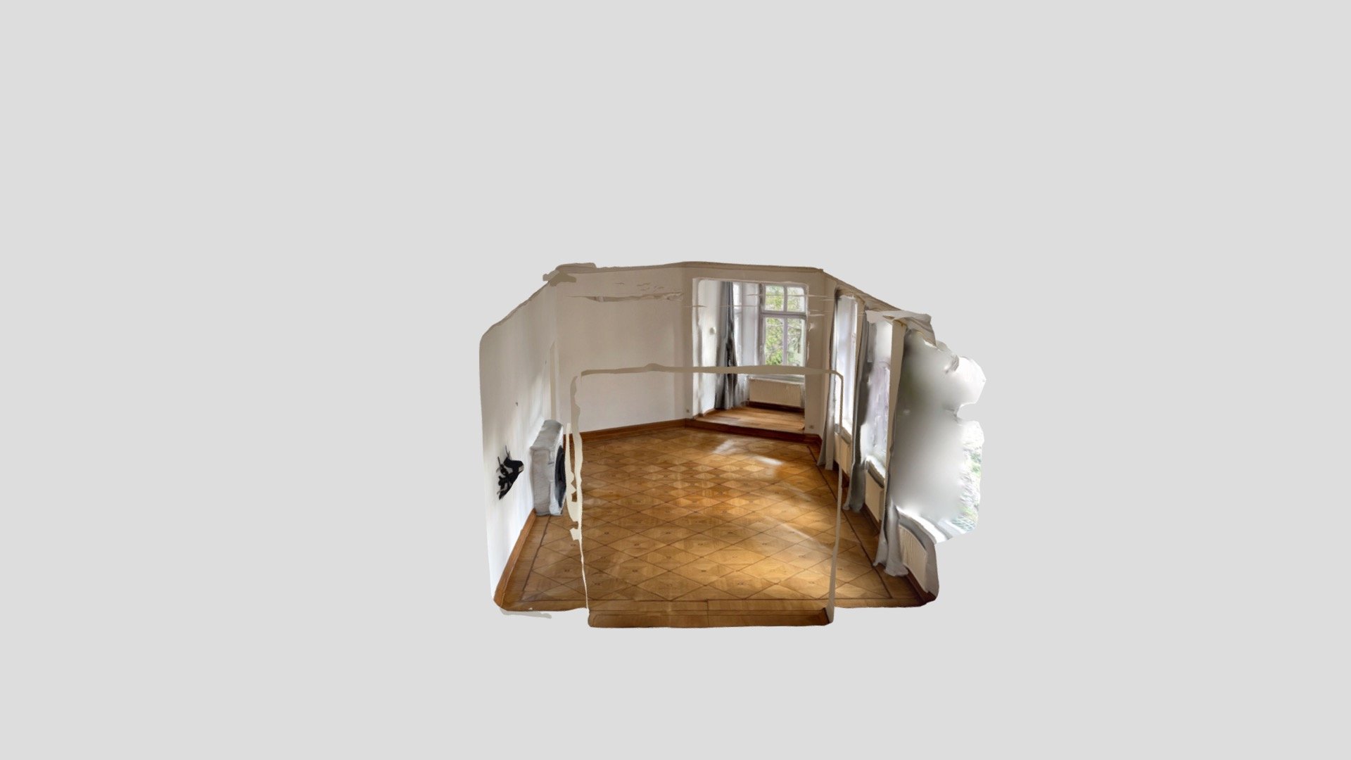 Polycam capture