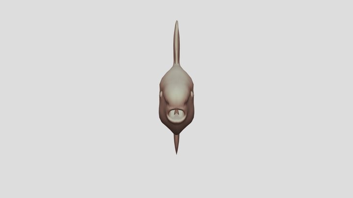 Sunfish Low Poly 3D Model
