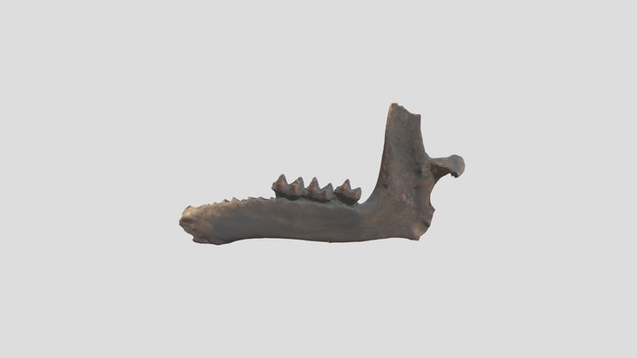 JS580 3D Model