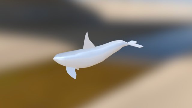 Orca 3D Model