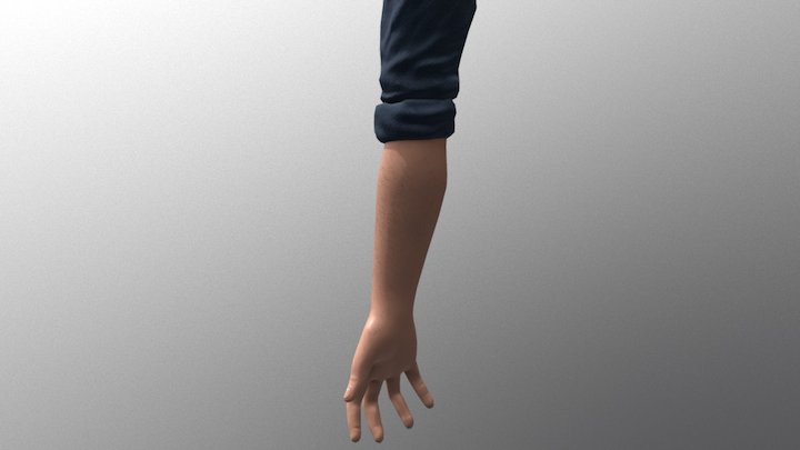 Hairy arm 3D Model