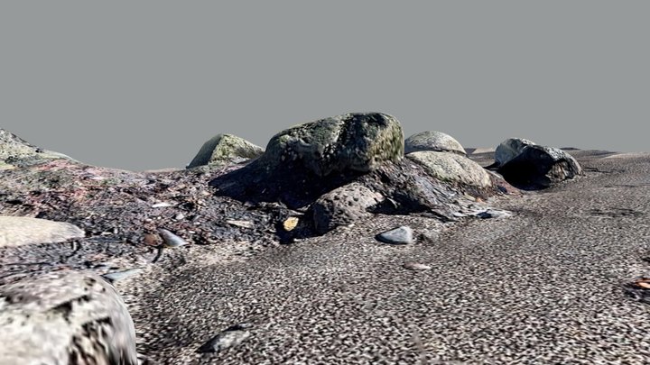 Beach rocks III 3D Model