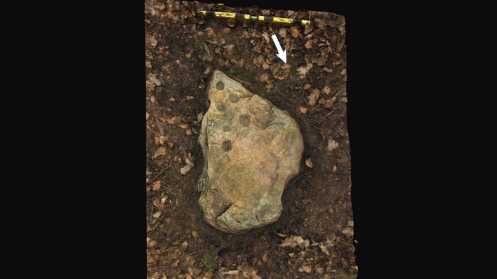 Bevaix(menhir?) 3D Model