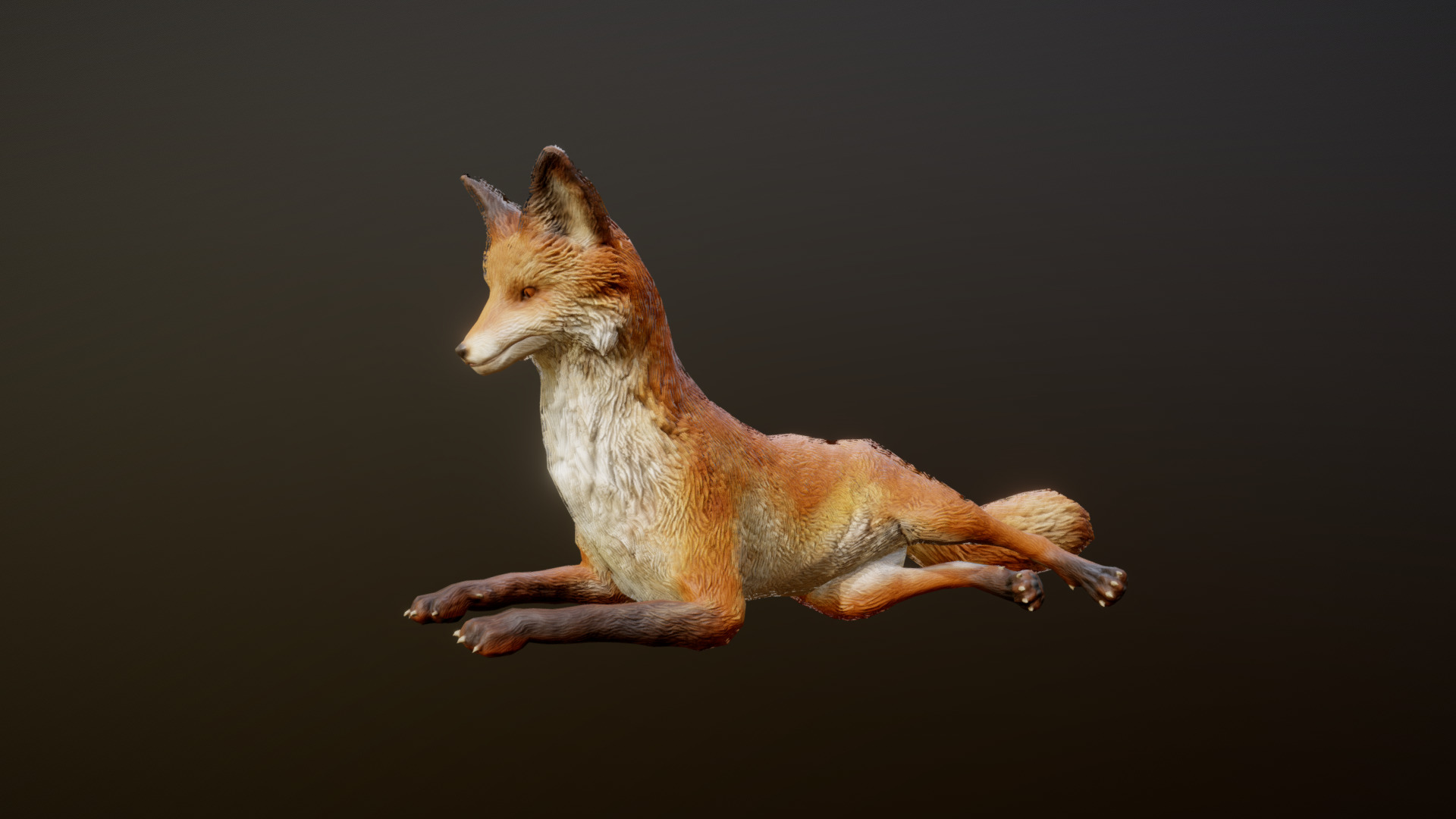 3D model FOX ANIMATIONS - This is a 3D model of the FOX ANIMATIONS. The 3D model is about a kangaroo sitting on a black background.