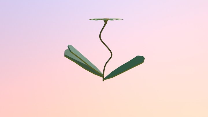 Flower 3D Model