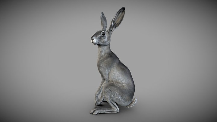 Hare | 3D Sculpting 3D Model