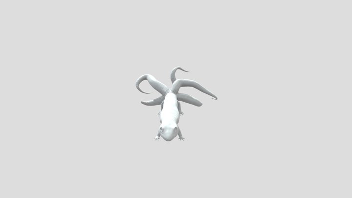 Salamander 3D Model