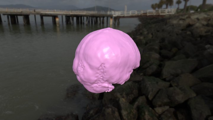 9652M Brain 3D Model