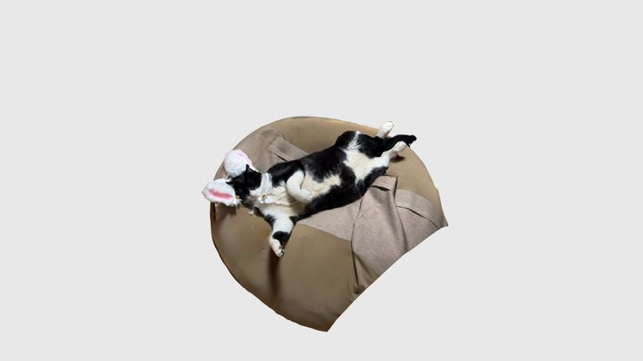 Cat with nekomimi – Modello 3D gratuito STL